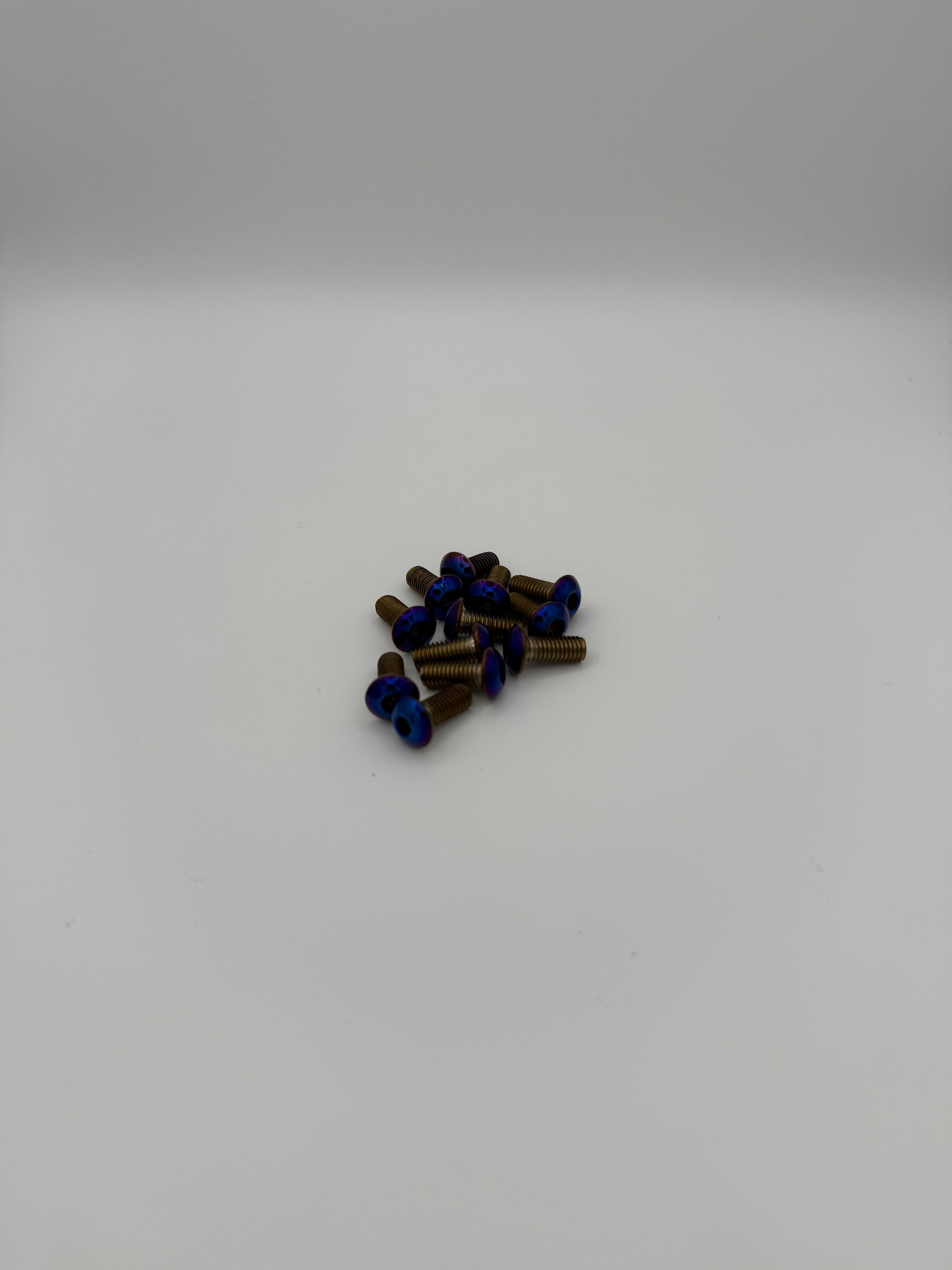 Titanium Frame Bolts - 12-Piece Set