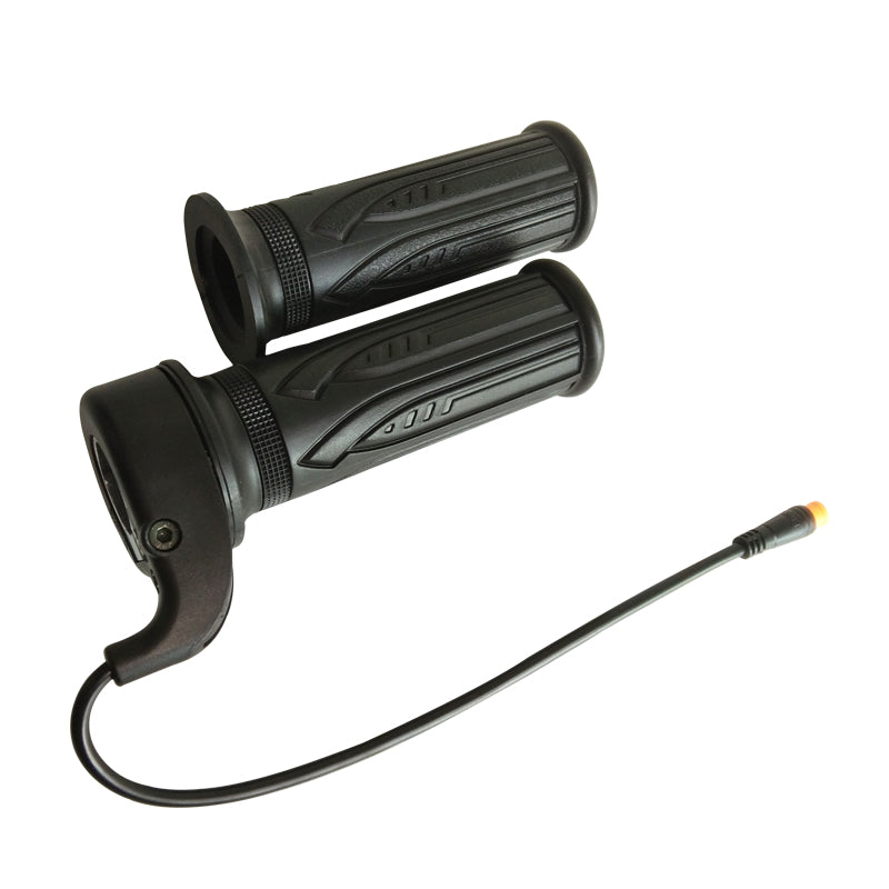 Budget EBike Full Twist